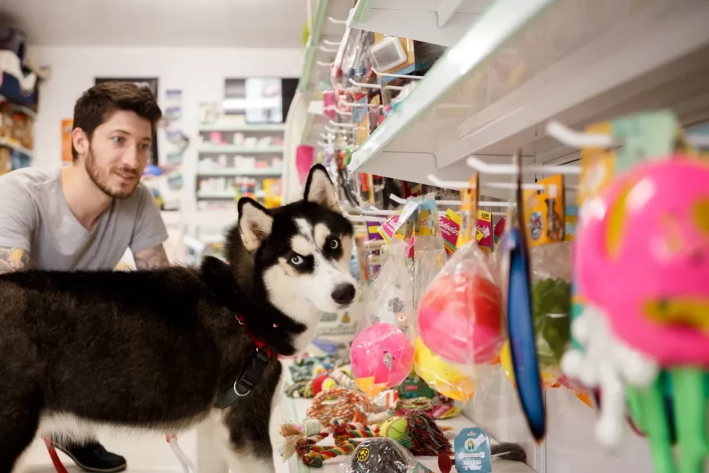 Homem branco está agachado olhando para prateleira cheia de brinquedos para pets. Na frente dele, um cachorro está olhando para a câmera.