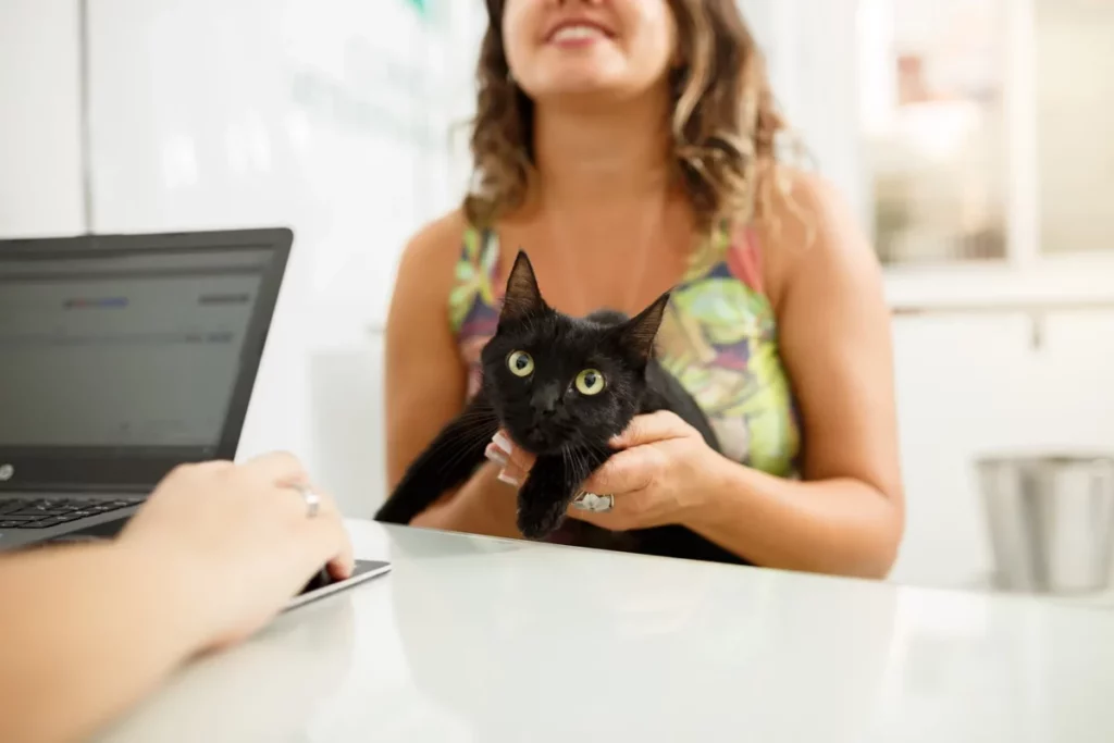 Em destaque na frente da imagem, um gato preto é carregado por uma mulher do outro lado da mesa. Em cima da mesa, desfocado, temos um notebook com o sistema SimplesVet aberto.