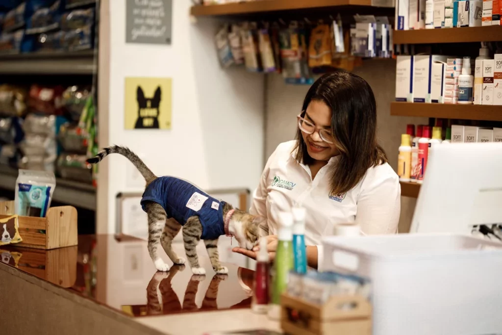 Como funciona vender no iFood: Gato listrado comendo na mão de veterinária, que veste um jaleco e usa óculos. Ela está sorrindo.