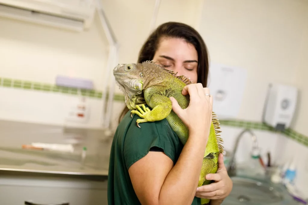 Médica veterinária de animais silvestres utilizando Inteligência artificial na medicina veterinária: Médica veterinária branca segurando uma iguana em seu colo.