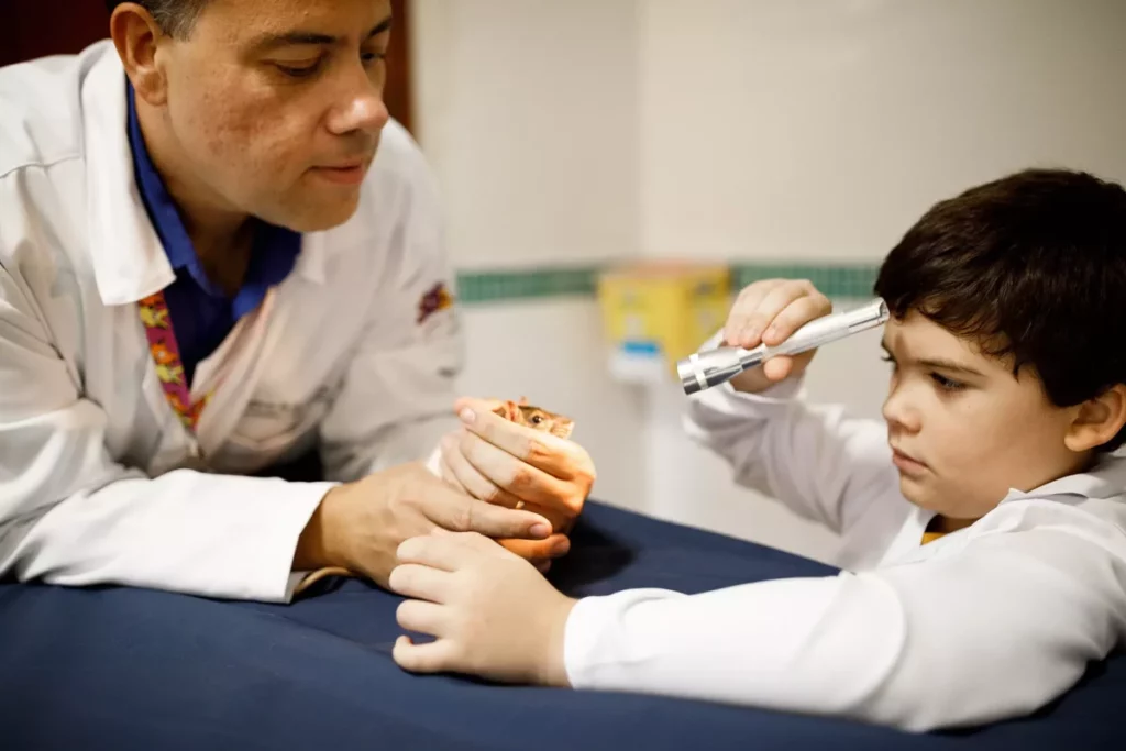 Médico veterinário mostrando pet para tutor infantil 